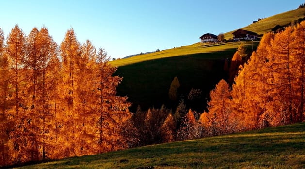 Evening light