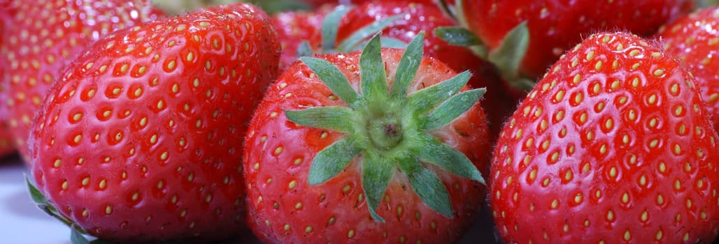 Strawberry panorama high resolution
