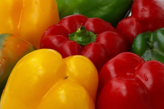 Bell Pepper 05