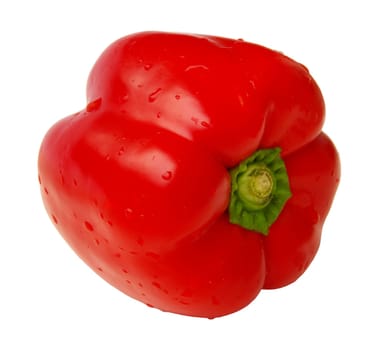 Bell Pepper 08