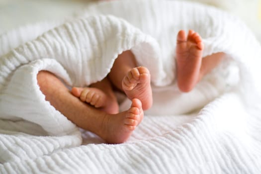 Infant feet of twins