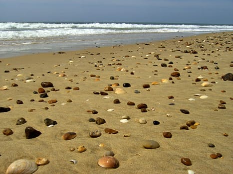 Shell 01
