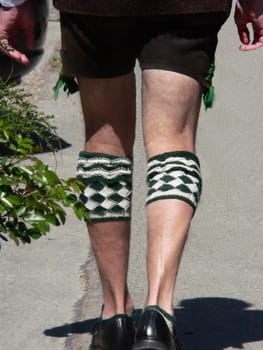 Traditional Seines