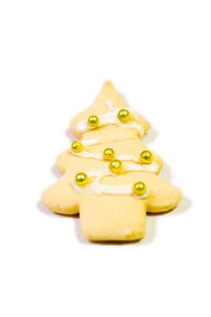 Pine biscuit