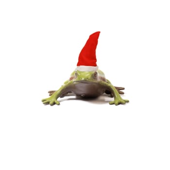 Christmas Frog