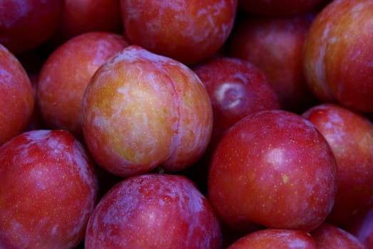 PLUMS