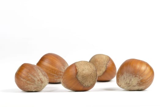 Hazelnuts 02