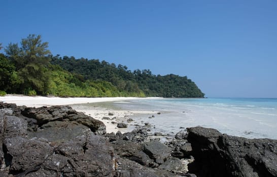 paradisaic