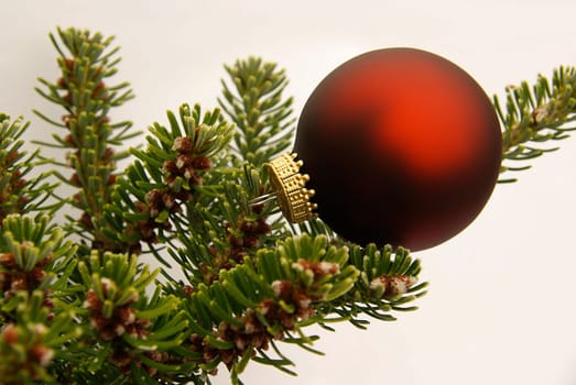 Christmas Ball 04