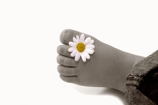 Small Foot