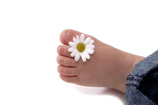 Baby Foot