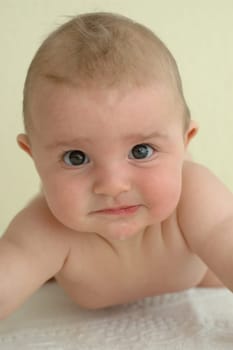 Baby Portrait