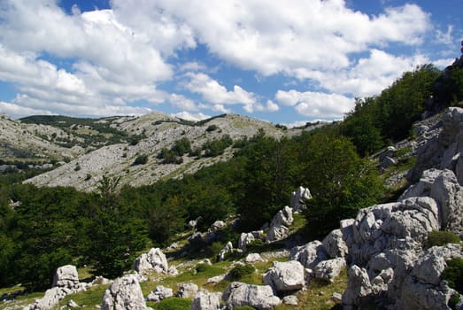 Velebit 31