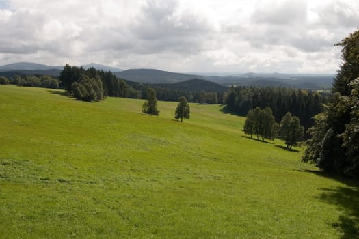 High pasture