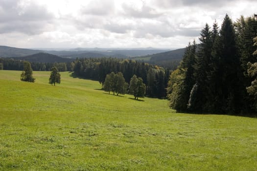 High Meadow