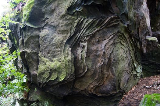 Shell Stone