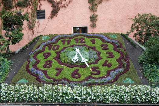 Floral clock