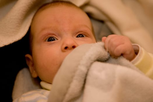 Big Baby Eyes