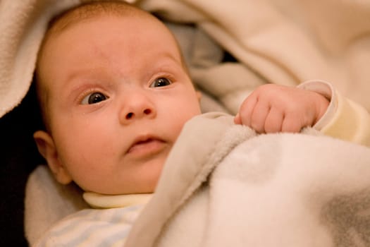 Inquiring baby look