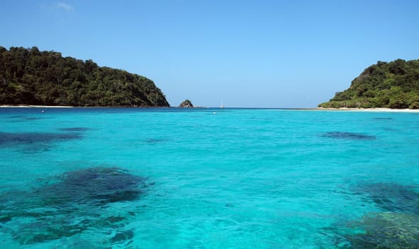 In Paradise