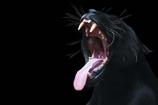 The Big Yawn