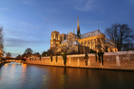 Notre Dame at the blue hour