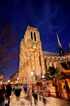 Notre Dame at the blue hour (3)