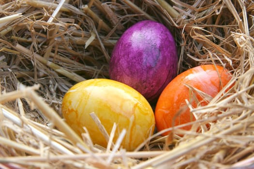 Colorful eggs in straw