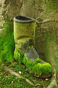 Old Boot