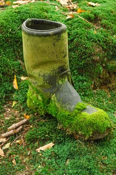 Old Boot