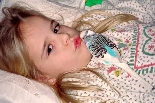 My budgie