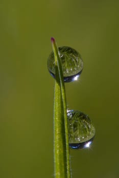 Waterdrop