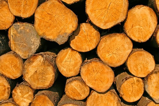 Logs