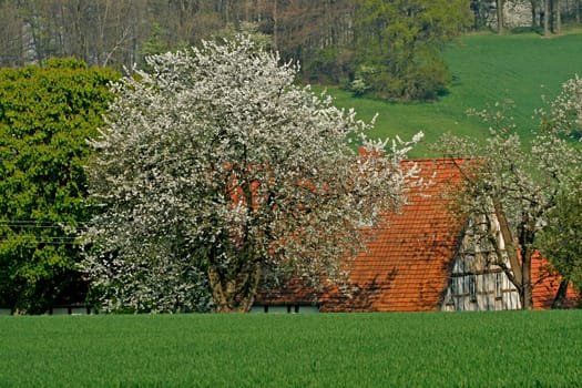 Hof in Hagen-Sudenfeld