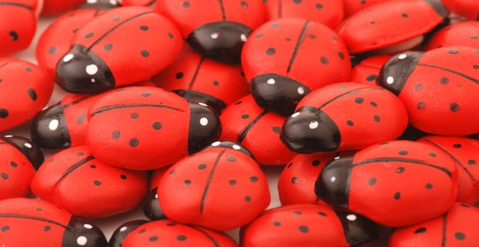 Lucky Beetle