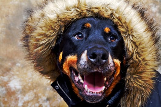 Soon we will go on winter vacation