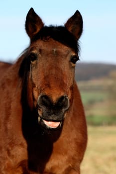 meanwhile he's doing it on Komando :-) What?? stick your tongue out!