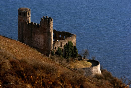 Ehrenfels Castle Ruins