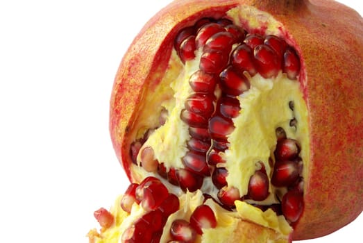 Pomegranate 18