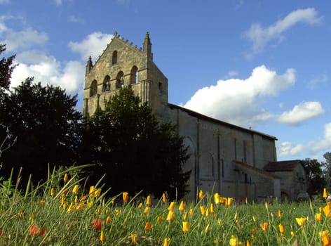 Blasimon 02
