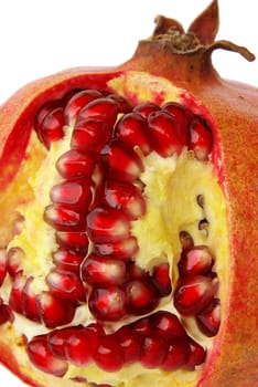 Pomegranate 19