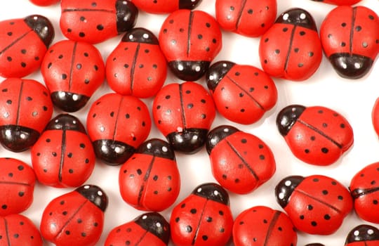 Lucky Beetle