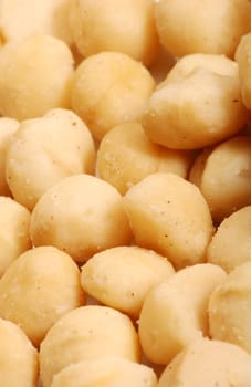 Macadamia Nuts