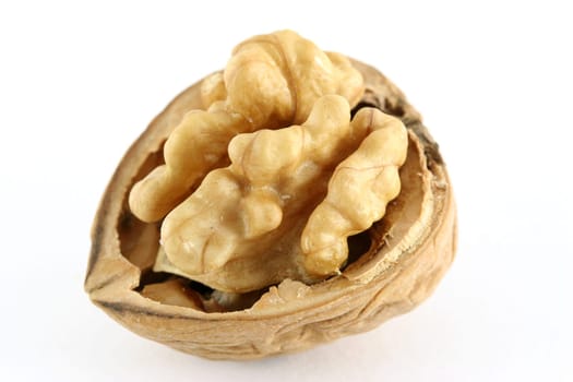 Walnut