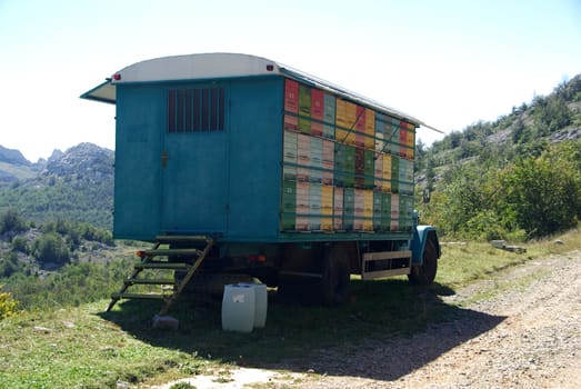 Bee Cart 04
