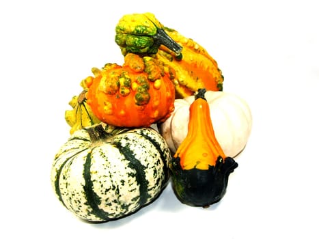 Ornamental pumpkin