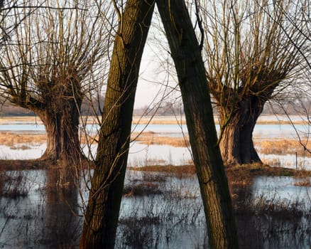 Flood