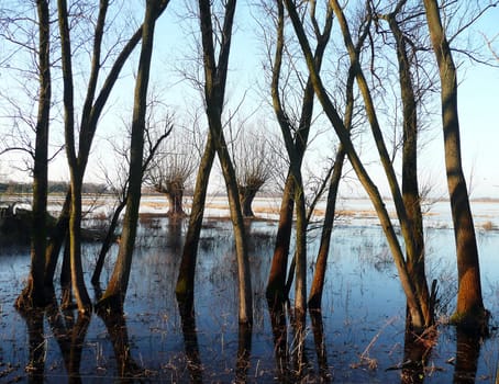 Flood