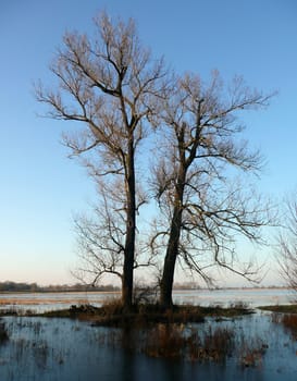 Flood