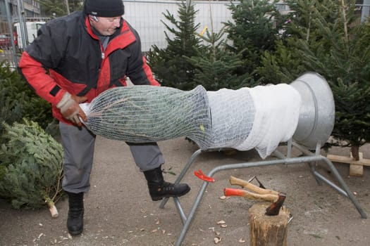 Christmas Tree Sale